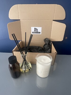 Laborkerze und Wissenschaft Glas Schilf Diffusor Set Geschenk Sojawachskerze Duft 