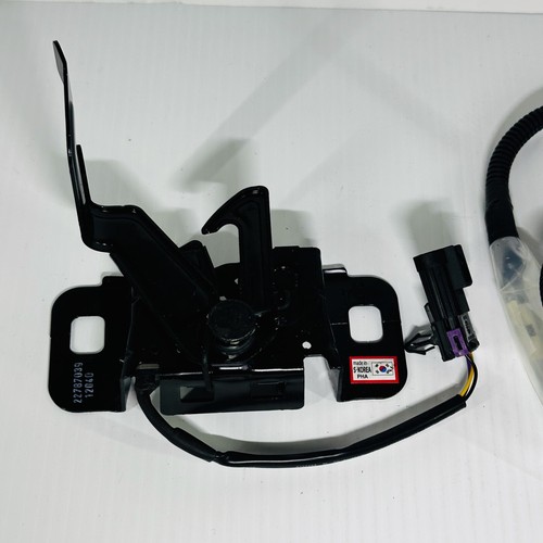 Chevrolet Equinox GMC Terrain Remote Start Hood Latch Kit 2012-12 GM 22924978 - Picture 2 of 24