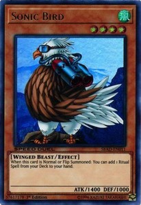 Sonic Bird - SBAD-EN011 - Ultra Rare - 1st Edition x1 - Near Mint