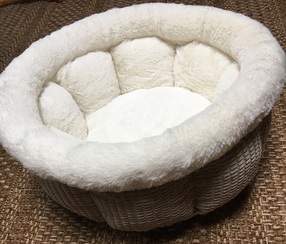 best friends cuddle cup dog bed