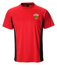 New Men's Wales Cymru Rugby Ich Dein Welsh Feathers Cooldry Poly T Shirt Top