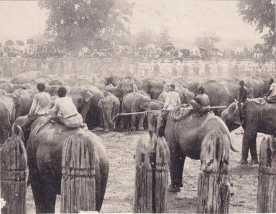 Robert Lenz (1864-1939) - Siam Thailand Scene with Elephants -