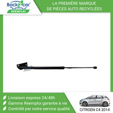 Verin de hayon / de capot Jaguar XK8