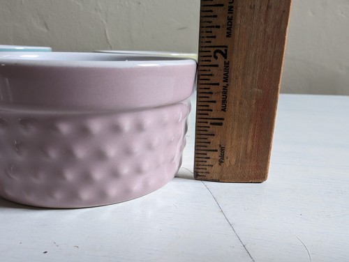 Set Of 4 PIER 1 Pastel Ramekins For Desserts, Soufflés, Tasting or Trinkets - Picture 13 of 13