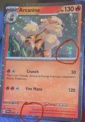 Arcanine SVP011 SVP Black Star Promos Holo Promo