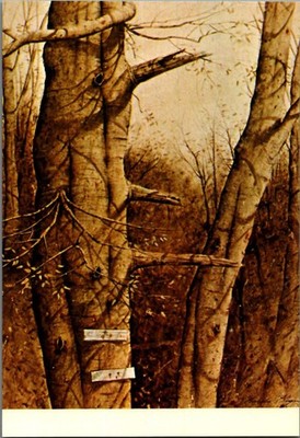 Vintage Postcard The Way Up - Art by Nicholas Berger