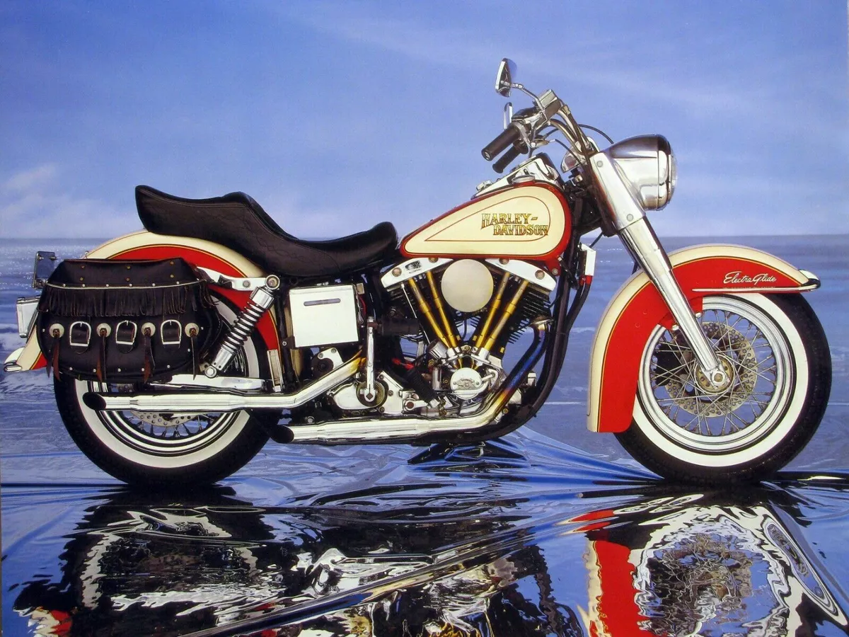 Ebay harley davidson motorcycle outlet