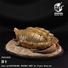 Foto 2 di 5