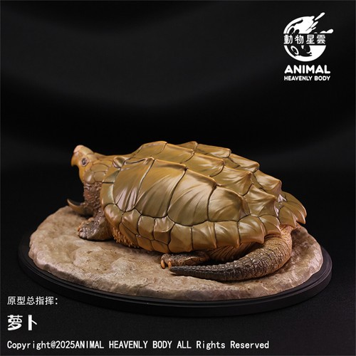 ANIMAL HEAVENLY BODY Alligator Snapping Turtle Figure Animal Model Gift Toys - Imagen 2 de 5