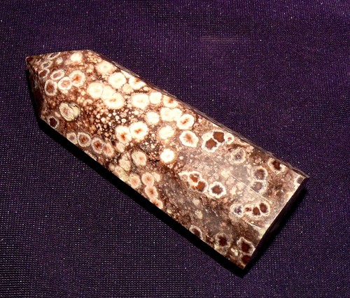 Versteinerte Koralle, achatisiert, Indonesien 56,6g, 70x26x19mm Fossil - Bild 4 von 6