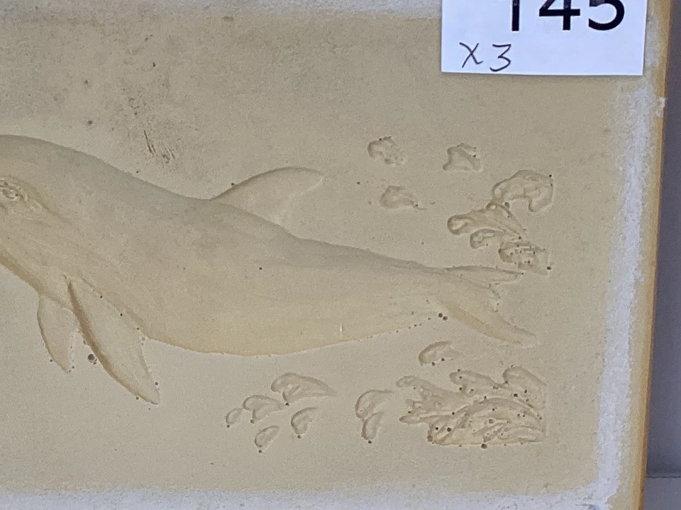 Бумажная литейная форма Dolphin для глины, бумажной массы и воздушной сухой глины #145 - Изображение 4 из 4