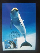 Carte Premier Jour Timbre N° 3486 Le Grand Dauphin Oblitéré Paris 2002