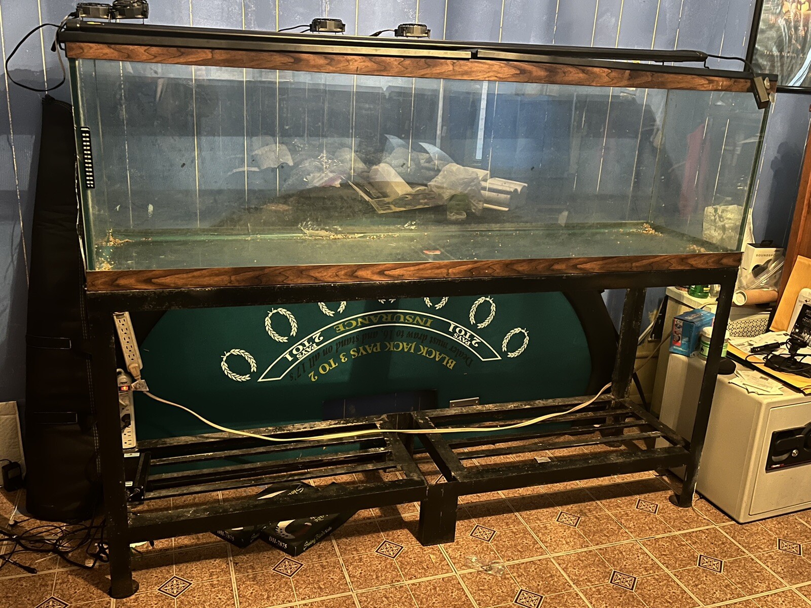 Discover the Affordable Price of a 125 Gallon Fish Tank Aquariuman