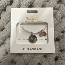 HEART OF COURAGE Disney Aladdin Jasmine Rajah Alex Ani Bracelet 2 Sided Lamp Sil