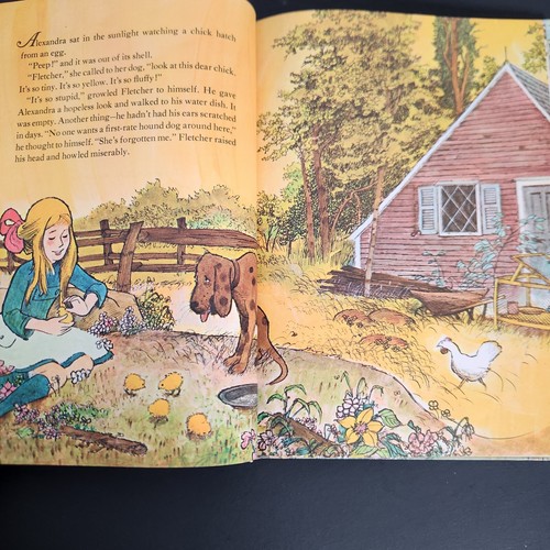 How Fletcher Was Hatched by Wende and Harry Devlin 1969 Parents Magazine Press - Picture 6 of 9