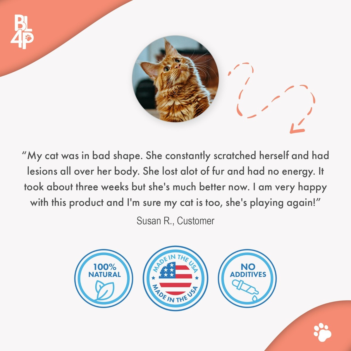 Mange Treatment for Cats