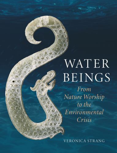 Water Beings : From Nature Worship to the Environmental Crisis by Veronica ... - Image 2