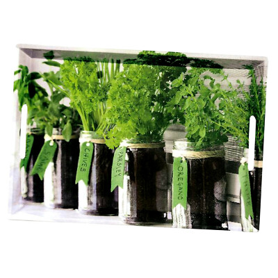 Kesper Serviertablett Herbs 48 x 30 x 3,5 cm