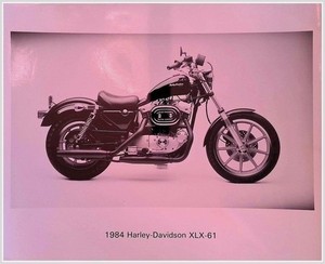 1984 Harley-Davidson XLX-61 Sportster 1000cc Motorcycle Promotional Photograph