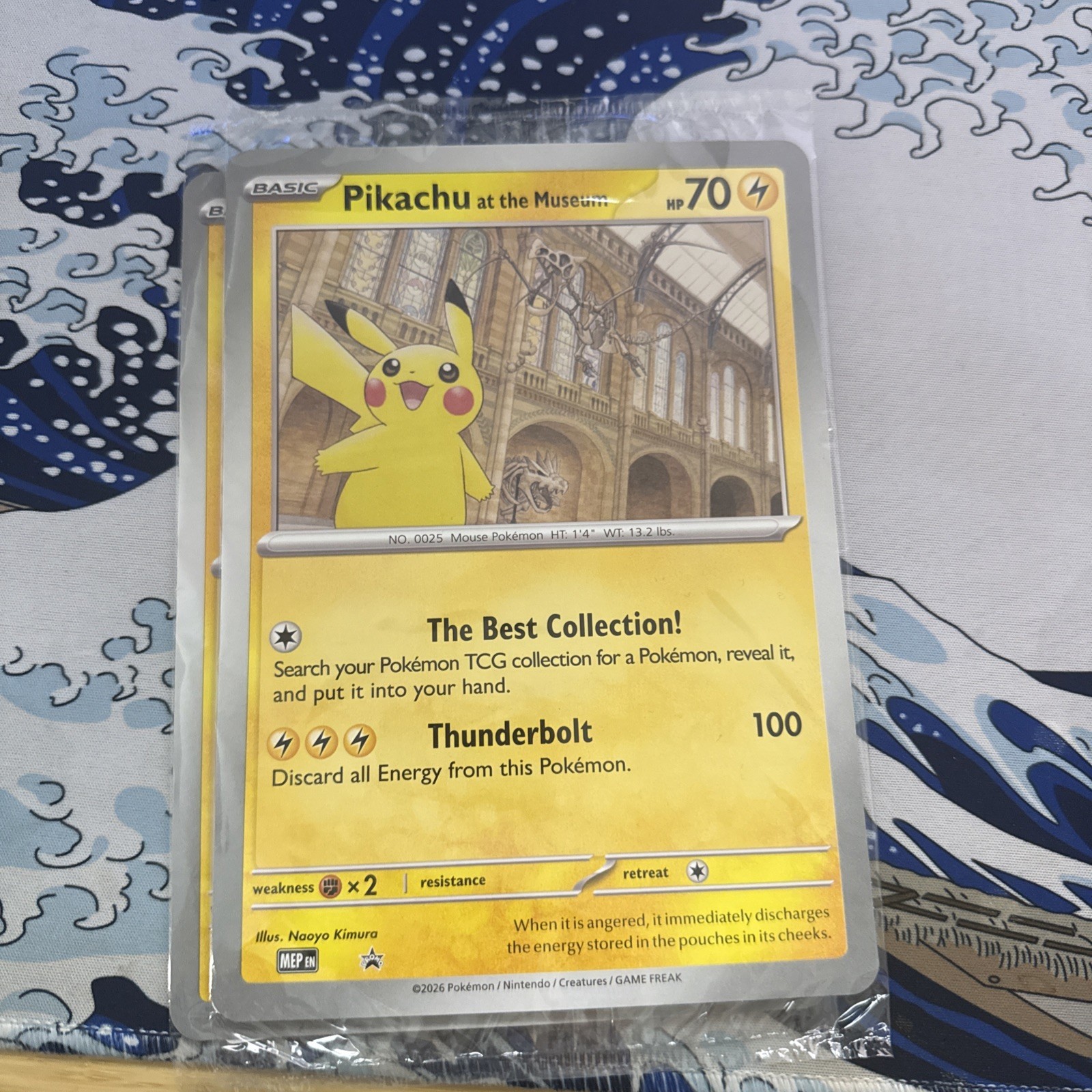 Pikachu At The Museum