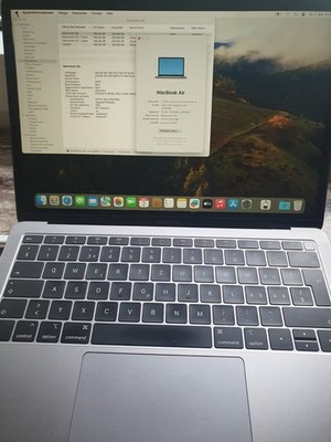 Apple MacBook Air (Retina 13-inch, 2019) 16GB RAM 256GB SSD Intel i5 Defekt 