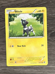 Blitzle 40/114 - Black & White - Common - Pokemon Card