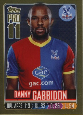 2013-14 Topps Premier Gold Pro11 Reward Danny Gabbidon Crystal Palace Karte