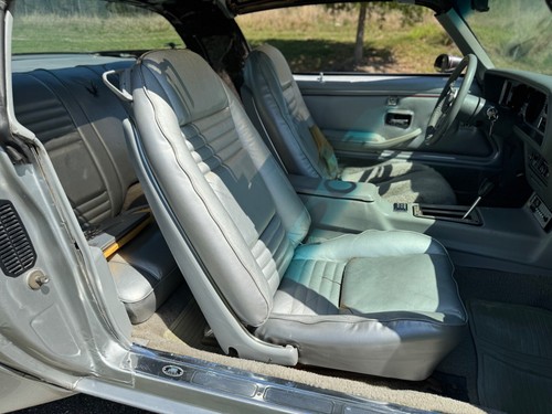 1979 Pontiac Trans Am TRANS AM 10TH Anniversary - Picture 20 of 35