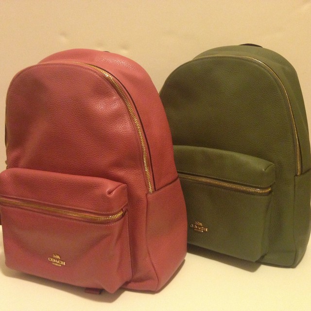 coach f38288