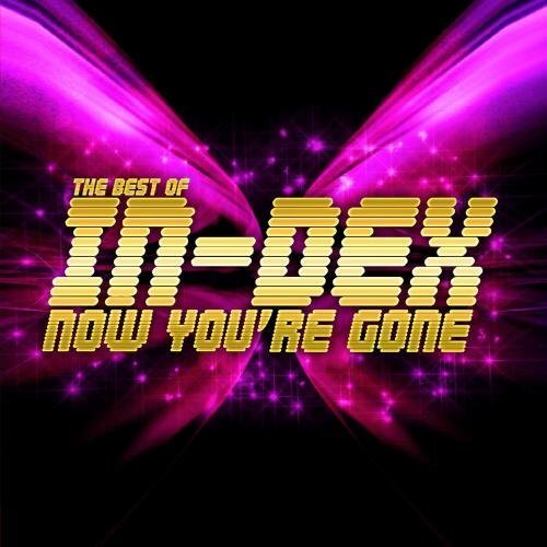 In-Dex The Best Of - Now You're Gone (CD)