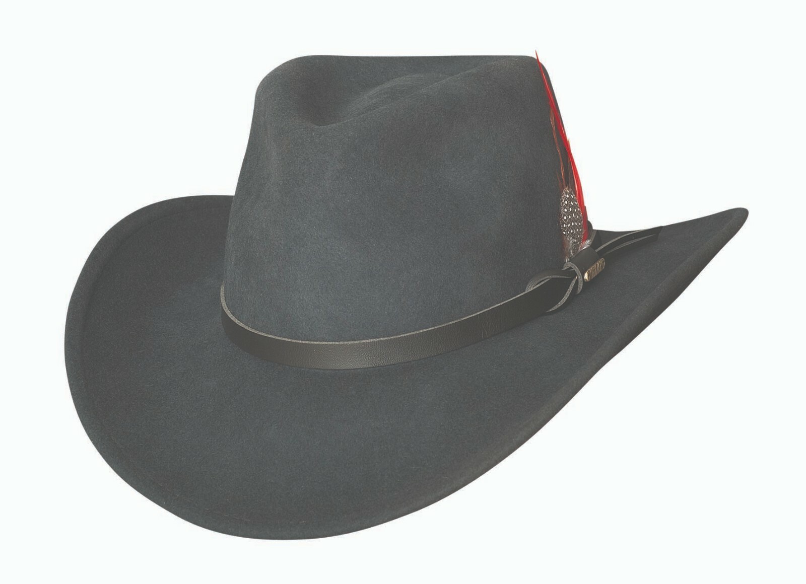 stetson mountain view