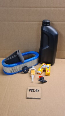 Rasentraktor Briggs Stratton Boxer I/C 2 Zylinder Servicepaket Service Twin II 2