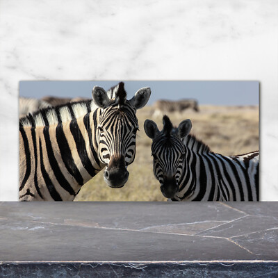 Küchenrückwand Spritzschutz aus Glas 120x60 Deko Tiere Zwei Zebras
