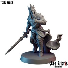 Cult Paladin Fighter Warrior Man DND D D Miniatures