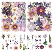 80PCS Natural Color Pressed Dried Flowers Dry Leaves with Tweezers - Real Pre...
