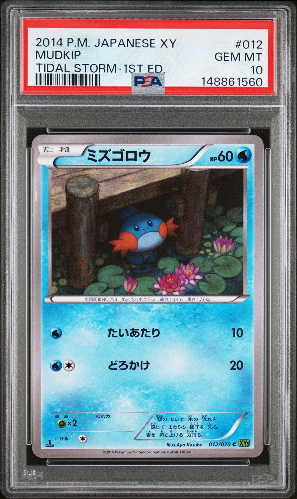 Mudkip [1st Edition] - Pokemon Japanese Tidal Storm #12 PSA 10