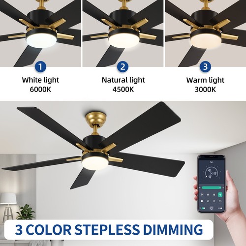 52 Inch Modern Ceiling Fans with Lights Remote & APP Control Indoor Ceiling Fan - Picture 11 of 20