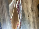 Vintage Chicago Delicatessen Meyer Paper Bag — photo 3
