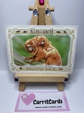 GOLDEN LION TAMARIN 2021 Allen & Ginter Rallying Back #RB-8