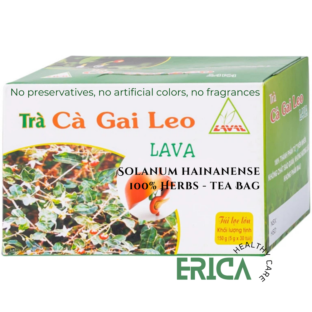 4x Ca Gai Leo Lava 100% Herbs for Liver Health Detox Tea - Tra Ca gai Leo