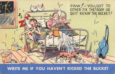 Paw Fix Roof Quit Kicking the Bucket Comic Humor, Vintage Postcard