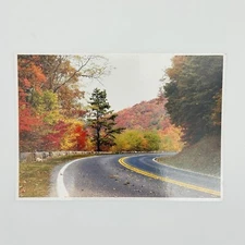 VINTAGE Virginia Postcard Shenandoah National Park Fall Forest Trees Foliage