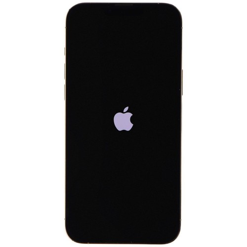 Apple IPHONE 13 Pro Max (6.7-inch) Smartphone (A2484) Débloqué - 128GB / Doré - Photo 2 sur 8