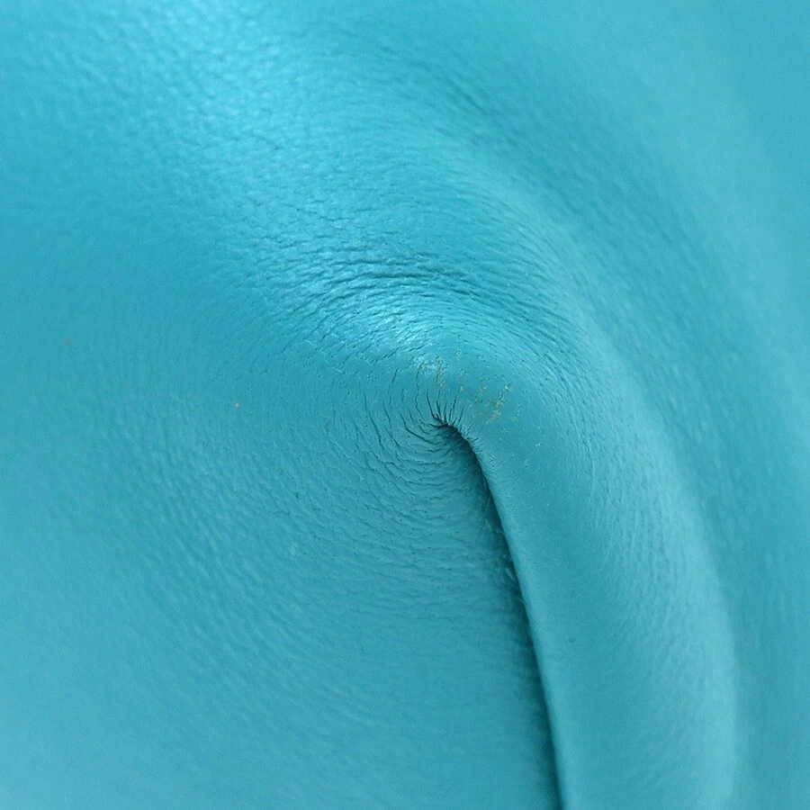 Borsa a tracolla LOEWE BORSA FLAMENCO media in pelle di melone palam borsa a mano autentica