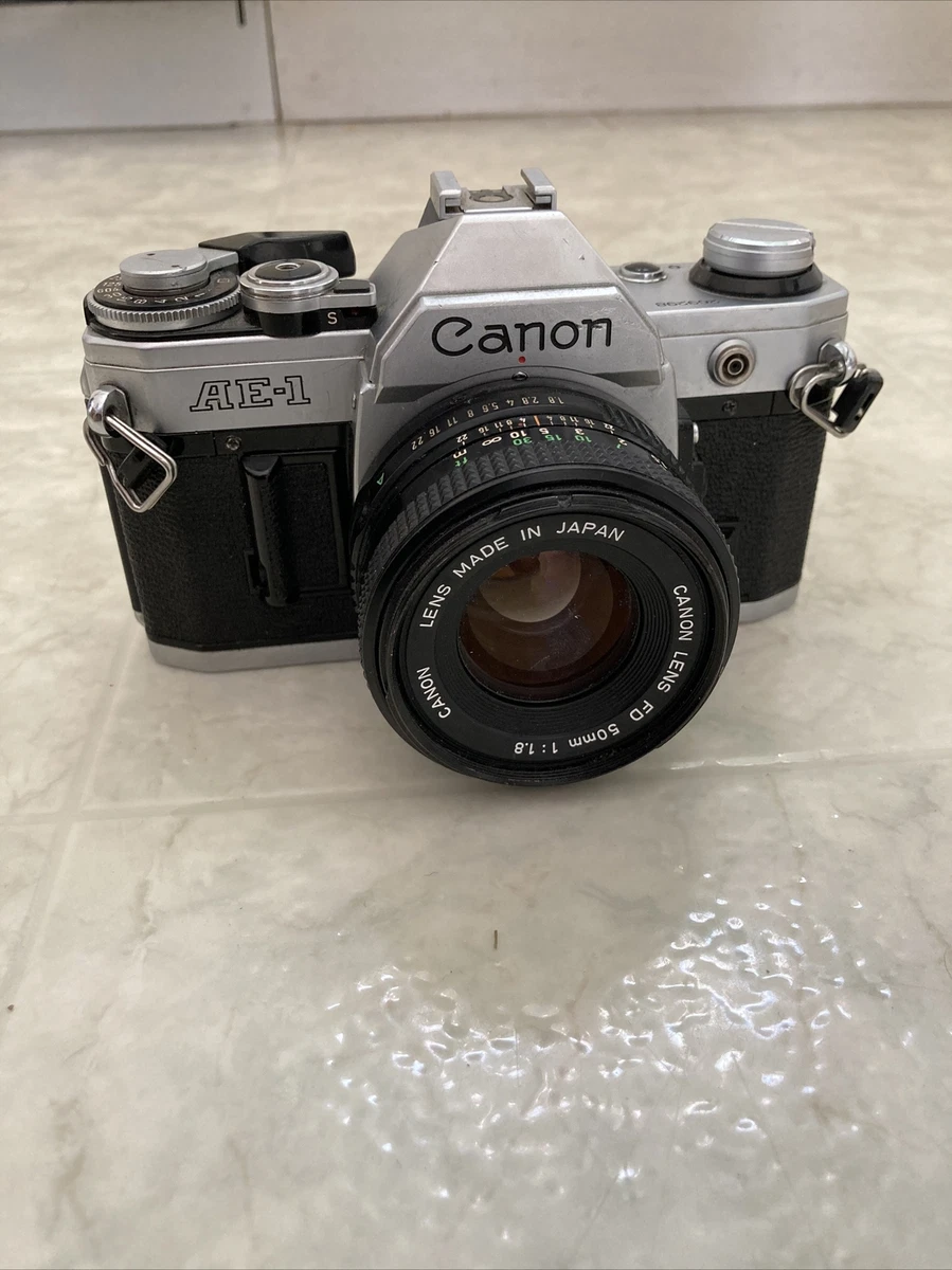 CanonAE-1 FD50mm1:1.8 | www.cantabriabisons.com