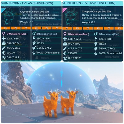 Ark Survival Ascended Official PVE SOLID 75 Pair Of Shinehorns XBOX/PS5/PC