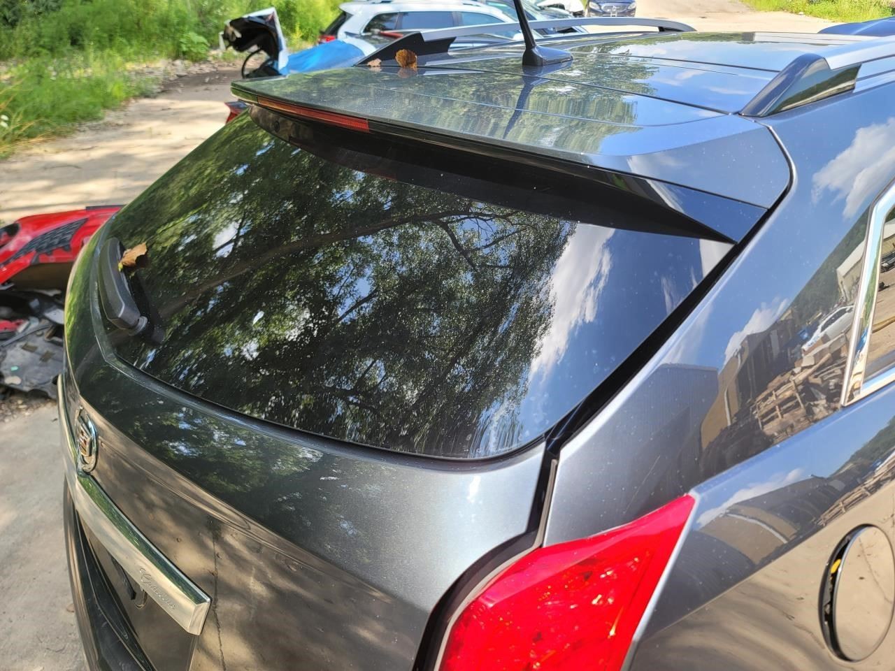 Picture 4
