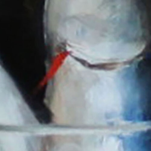Still Life LEMON AND FISH Oil painting by Natalia Demenko 8x10 - Picture 4 of 12