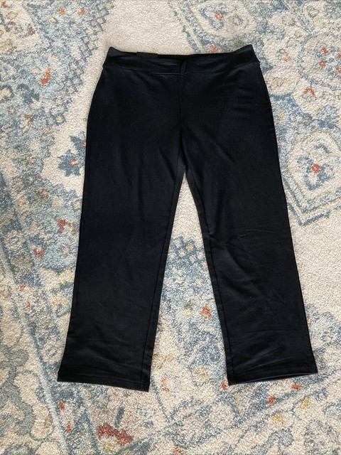 dalia stretch pants