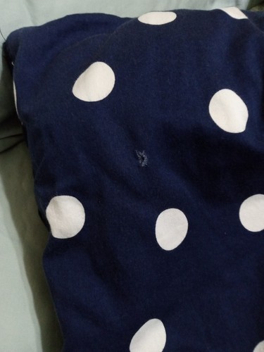 Kate Spade Twin XL Comforter Blue White Polka Dot - Picture 6 of 10